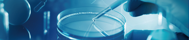 临床医学（精准医学）（中外合作办学）专业